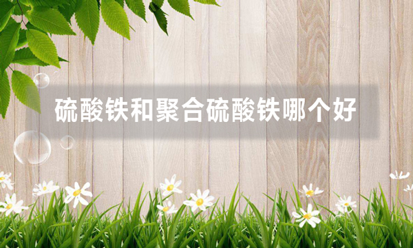 硫酸鐵和聚合硫酸鐵哪個好（硫酸鐵與聚合硫酸鐵的優勢）