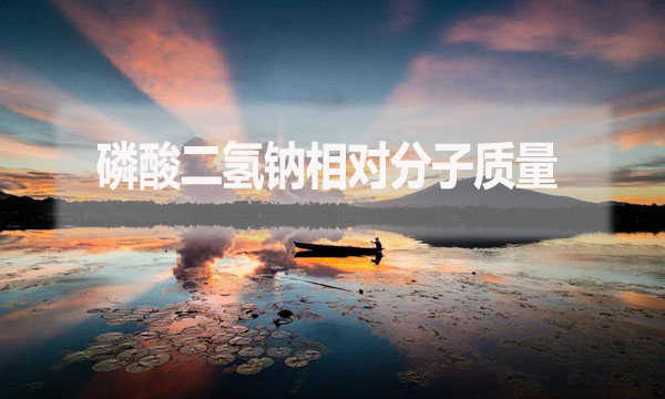 磷酸二氫鈉相對(duì)分子質(zhì)量是什么？應(yīng)該怎么算？