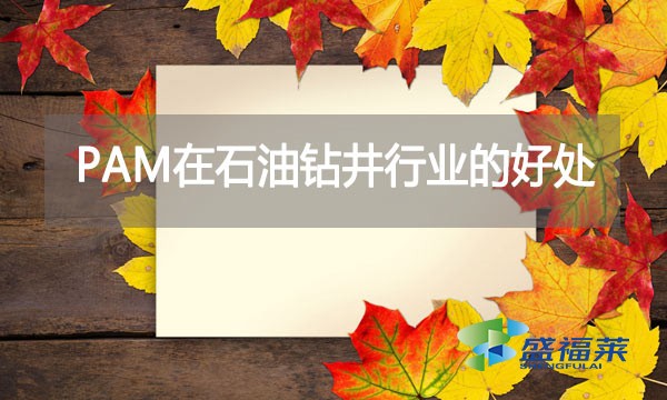 聚丙烯酰胺（PAM）在石油鉆井行業的好處