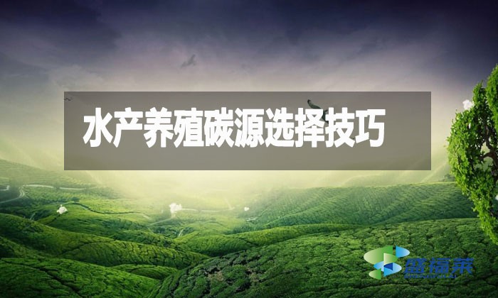 水產養殖碳源選擇技巧：提升效益與可持續性的關鍵